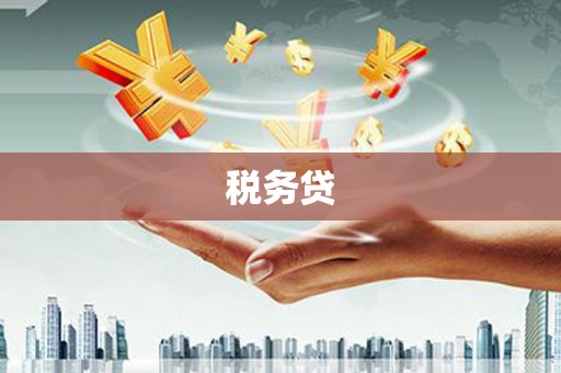 七星税务贷