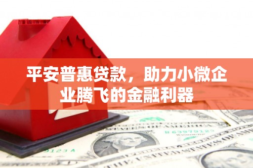 七星平安普惠贷款，助力小微企业腾飞的金融利器