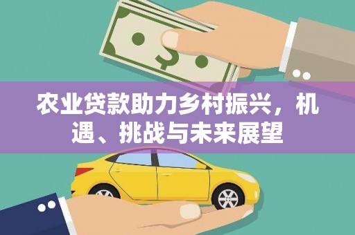 七星农业贷款助力乡村振兴，机遇、挑战与未来展望