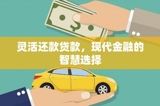 七星灵活还款贷款，现代金融的智慧选择