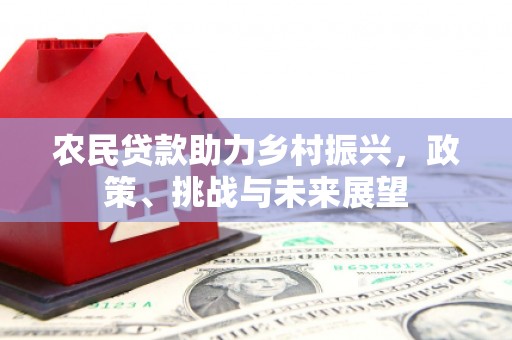 七星农民贷款助力乡村振兴，政策、挑战与未来展望
