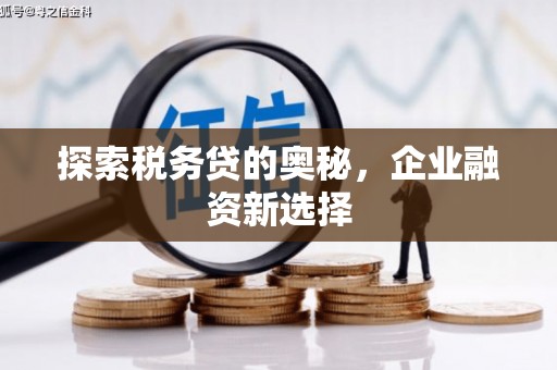 七星探索税务贷的奥秘，企业融资新选择