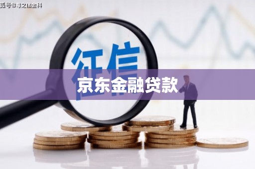 七星京东金融贷款