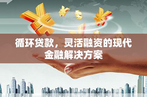 七星循环贷款，灵活融资的现代金融解决方案