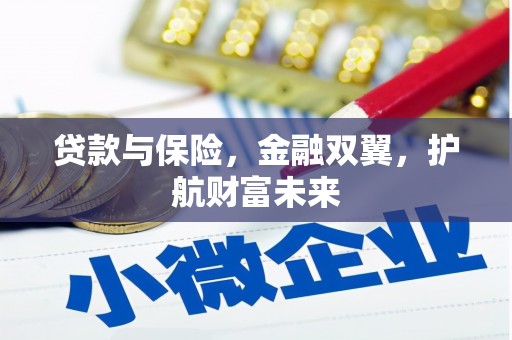 七星贷款与保险，金融双翼，护航财富未来