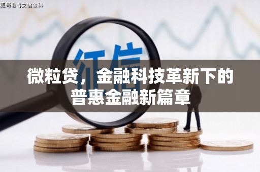 七星微粒贷，金融科技革新下的普惠金融新篇章