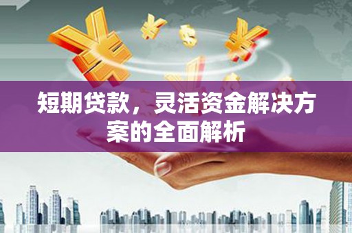 七星短期贷款，灵活资金解决方案的全面解析