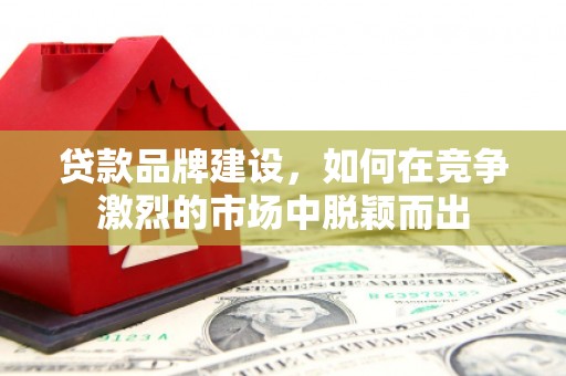 七星贷款品牌建设，如何在竞争激烈的市场中脱颖而出