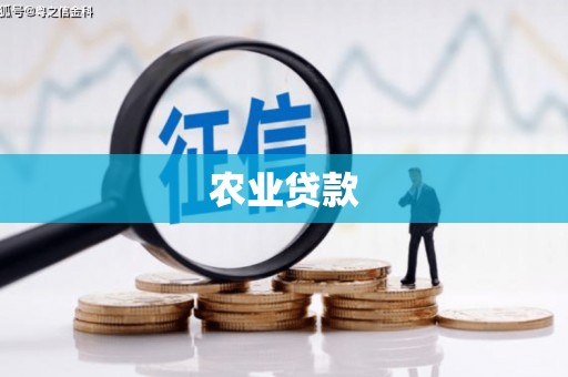 七星农业贷款