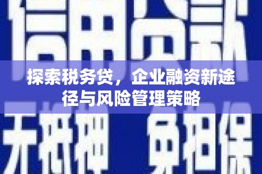 七星探索税务贷，企业融资新途径与风险管理策略