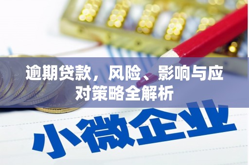 七星逾期贷款，风险、影响与应对策略全解析