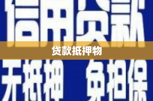 七星贷款抵押物