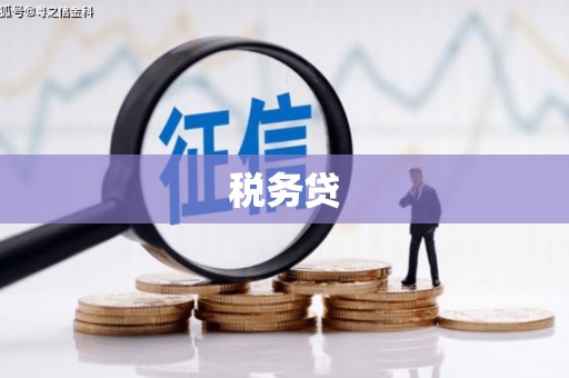 七星税务贷