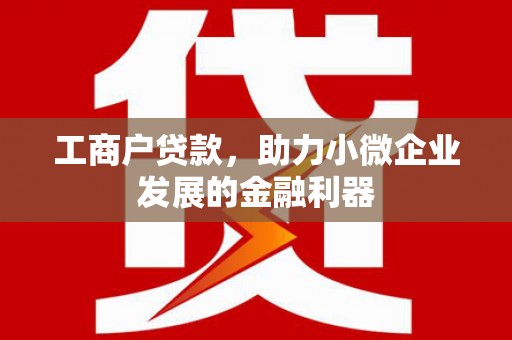 七星工商户贷款，助力小微企业发展的金融利器