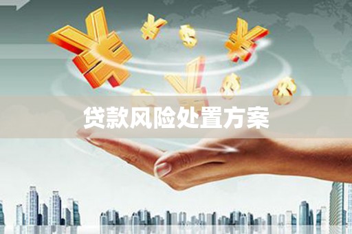七星贷款风险处置方案