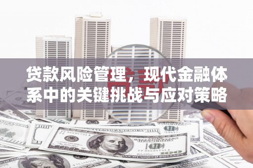 七星贷款风险管理，现代金融体系中的关键挑战与应对策略