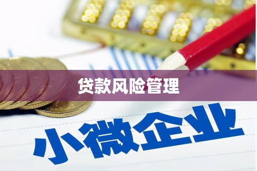 七星贷款风险管理