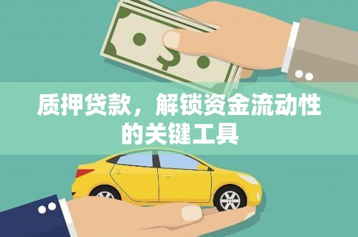 七星质押贷款，解锁资金流动性的关键工具