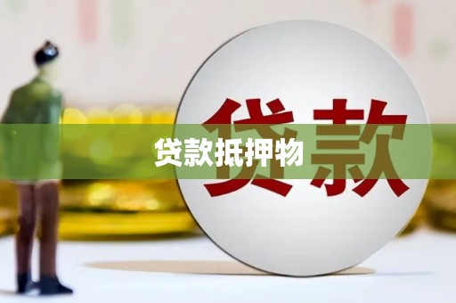 七星贷款抵押物