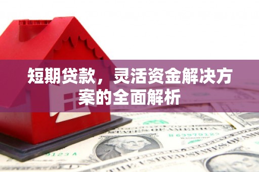 七星短期贷款，灵活资金解决方案的全面解析
