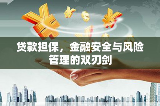 七星贷款担保，金融安全与风险管理的双刃剑
