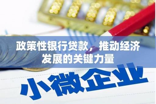七星政策性银行贷款，推动经济发展的关键力量