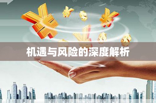 七星机遇与风险的深度解析