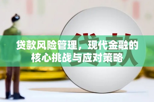 七星贷款风险管理，现代金融的核心挑战与应对策略