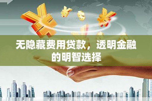 七星无隐藏费用贷款，透明金融的明智选择