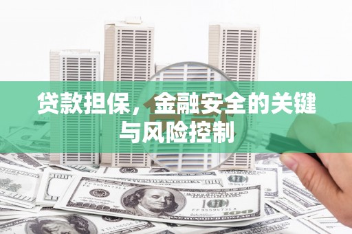 七星贷款担保，金融安全的关键与风险控制