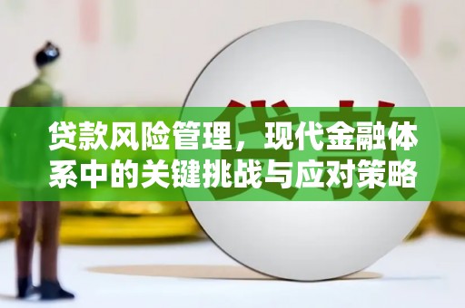 七星贷款风险管理，现代金融体系中的关键挑战与应对策略