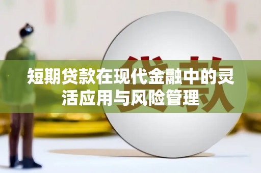 七星短期贷款在现代金融中的灵活应用与风险管理