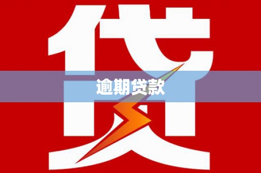七星逾期贷款