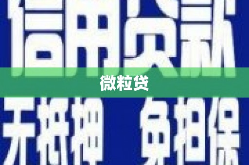 七星微粒贷