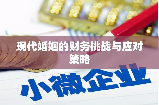 七星现代婚姻的财务挑战与应对策略