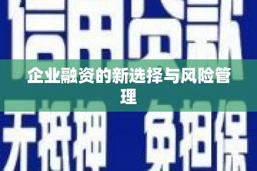 七星企业融资的新选择与风险管理