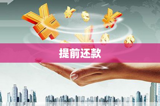 七星提前还款